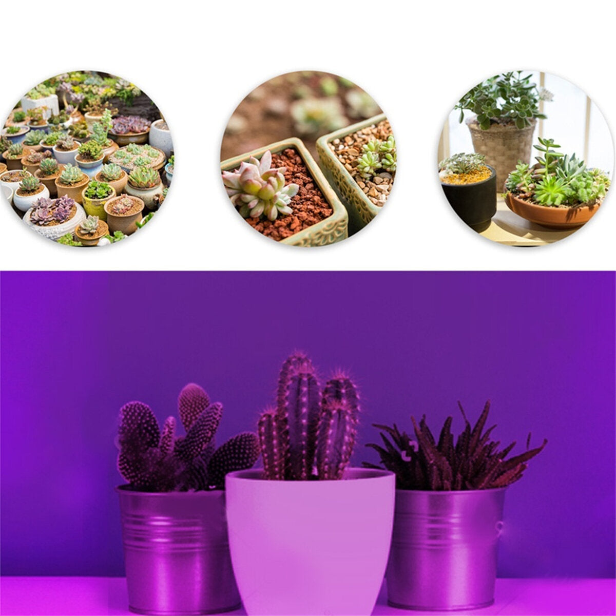 1/2/3 Head Plant Grow Light Head LED Lamp Hydroponics Greenhouse Garden 360 Flexible Indoor Dimmable