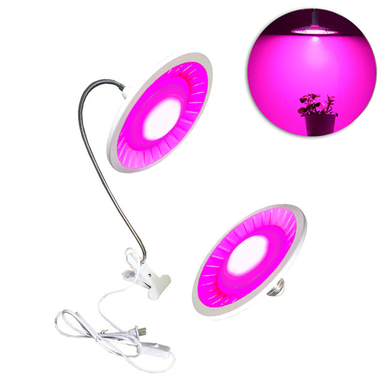 40w LED Plant Lamp Full Spectrum Cob Plant Growing Table Light Clip Switch Succulent Flower Fill Light Growth Lamp