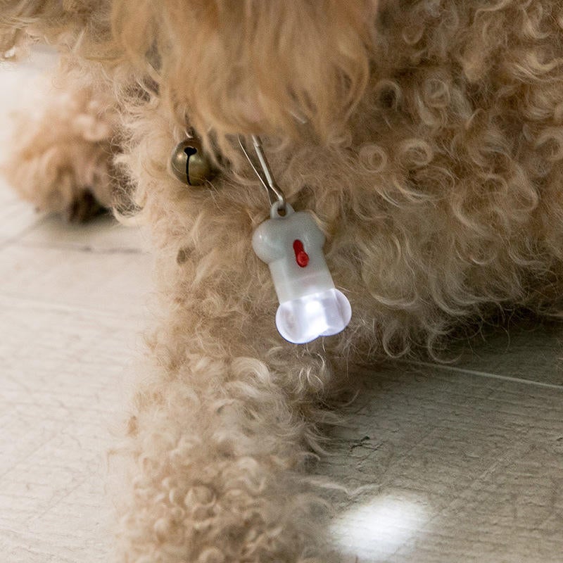 Bone Label Light Pet Tag Light Bulb Outdoor Dog Floodlight Missing Warning Light Pet Supplies
