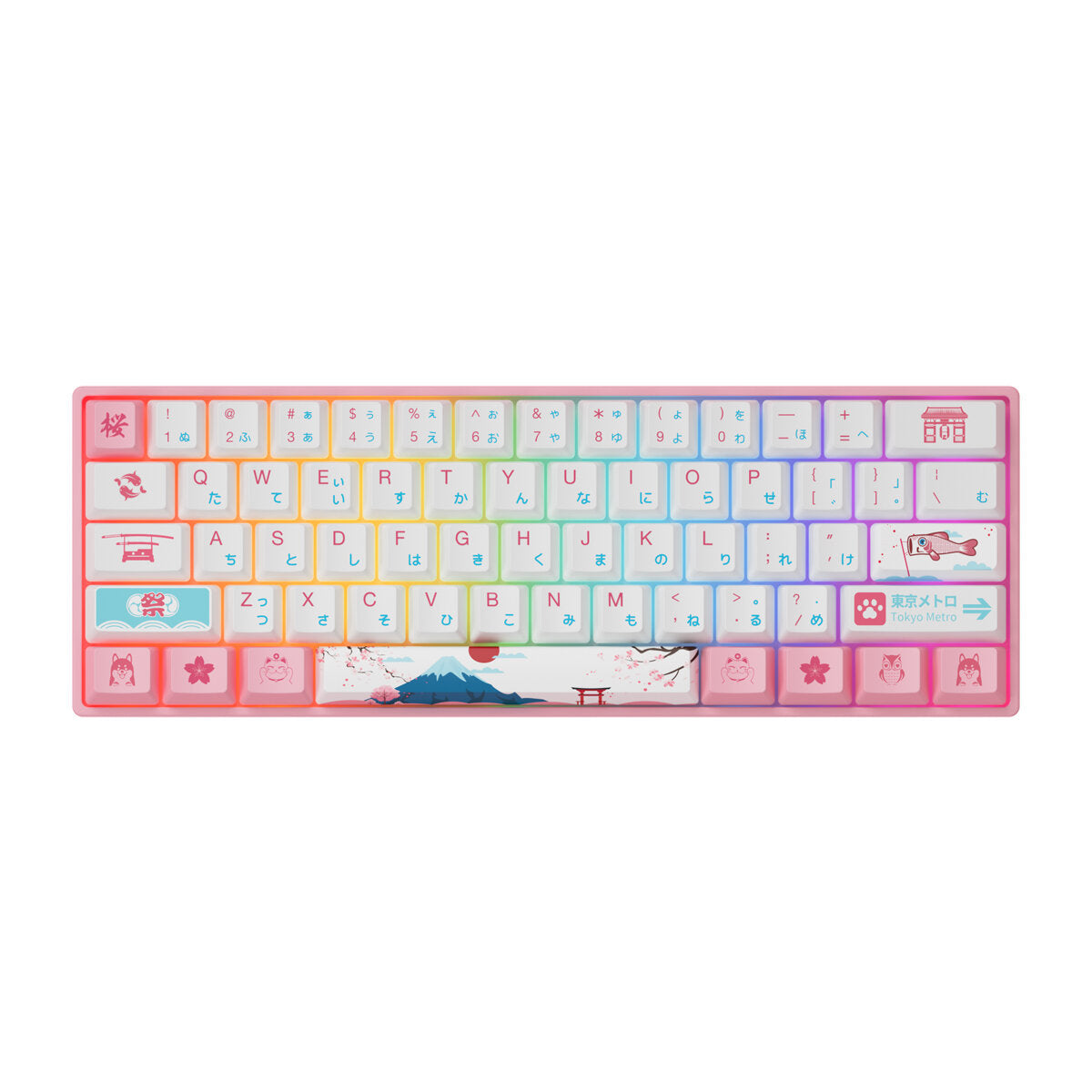 Mechanical Keyboard 61 Keys Wired Hot Swappable Gateron Prelubricate Switch RGB Cherry Profile PBT Keycaps Gaming Keyboard