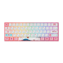 Mechanical Keyboard 61 Keys Wired Hot Swappable Gateron Prelubricate Switch RGB Cherry Profile PBT Keycaps Gaming Keyboard