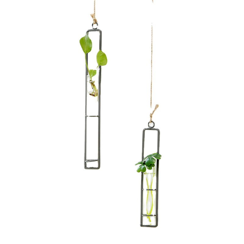 Large Glass Vase Hemp Rope Pendant Living Room Wall Hanging Green Plant Containers