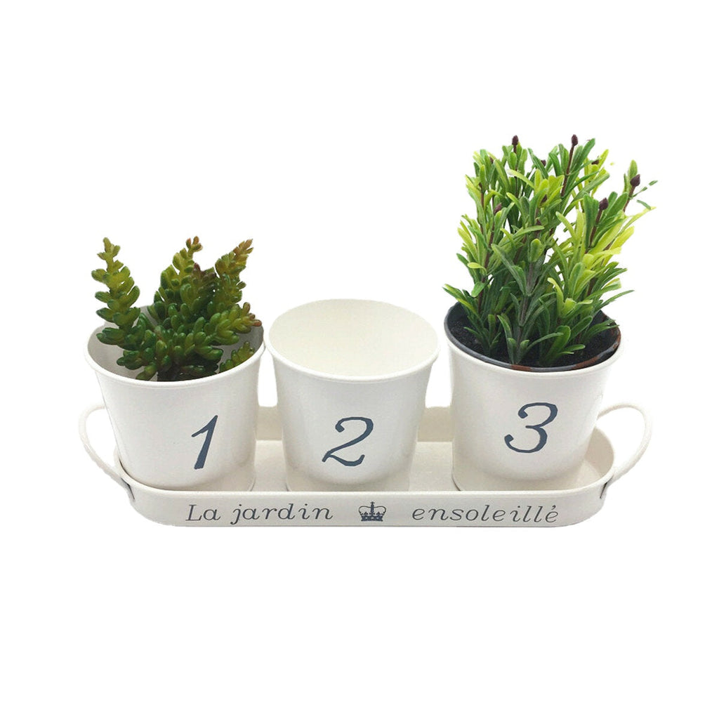 3pcs/Set Iron Bucket Flower Pot Tray Small Pots Herbs Planter Garden Window Pots