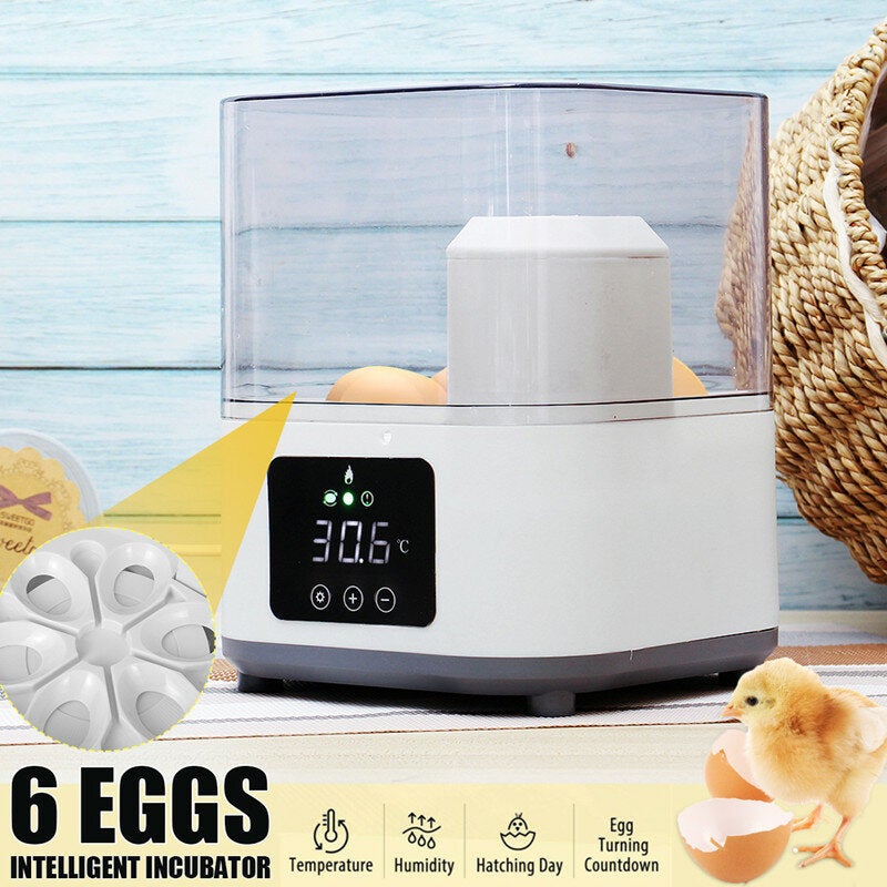 Automatic Household Egg Incubator Heat-preservation Air Current Circulation ABS/PC
