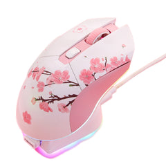 Dual Mode Mouse RGB 2.4GHz Wireless Wired Gaming Mouse with Charging Dock Built-in 930mAh Recharging Battery with Macro Set for PC Laptop
