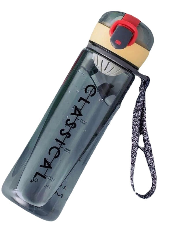 500ml BPA Free Water Bottle with Locking Flip-Flop Lid Leakproof Dustproof Cap Colorful Sport Water Bottle Camping Travel From