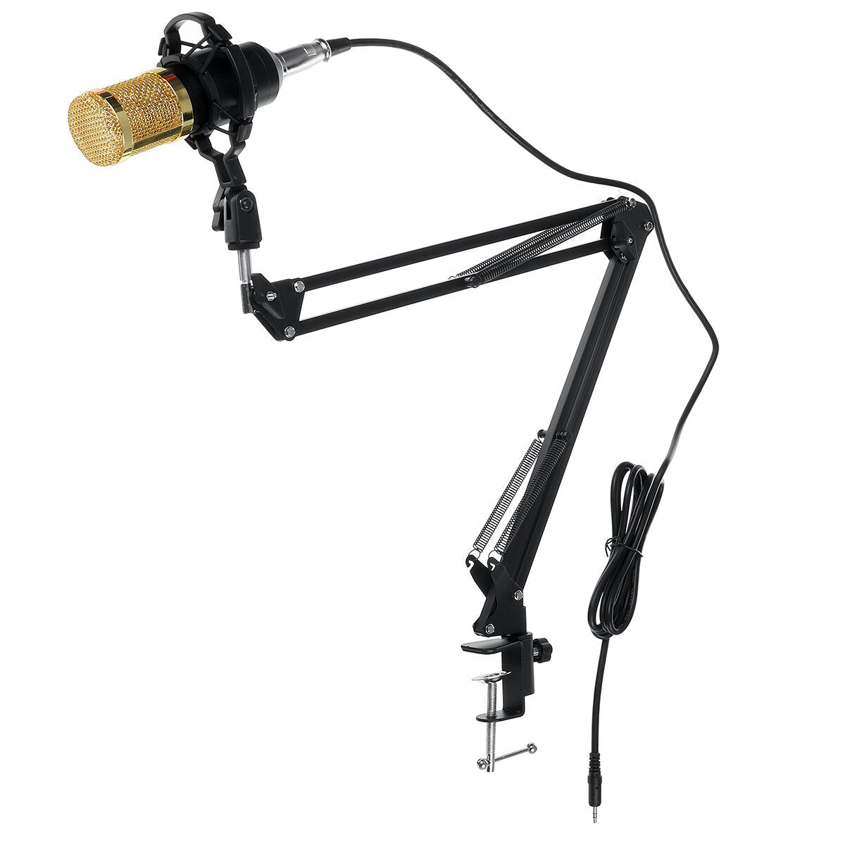 Large Diaphragm Condenser Microphone Set for Online Singing Live Broadcast Audio Studio Mic Recording