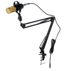 Large Diaphragm Condenser Microphone Set for Online Singing Live Broadcast Audio Studio Mic Recording