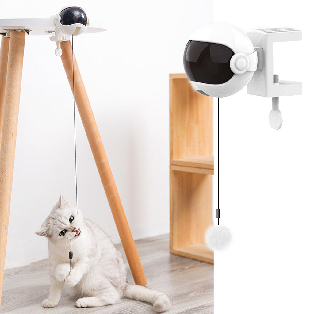 Electric Automatic Lifting Cat Ball Toy Interactive Puzzle Smart Pet Teaser Toys