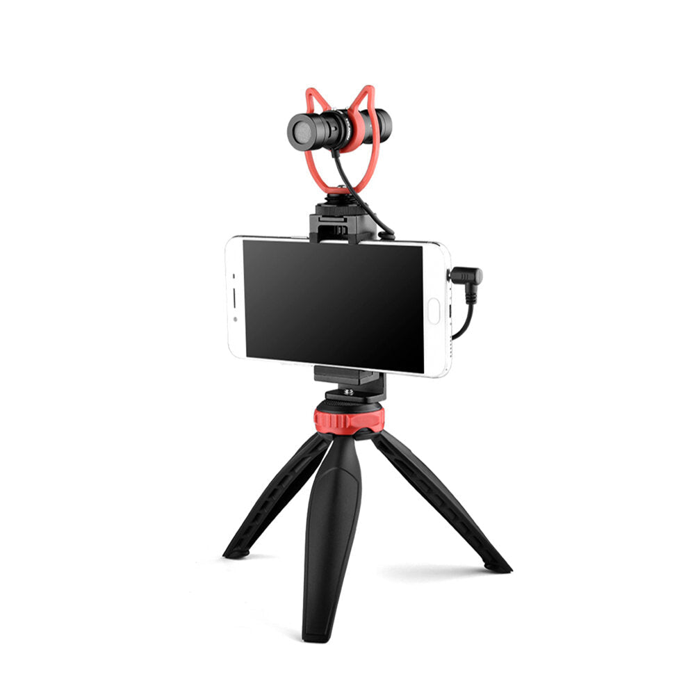 Microphone Double Directional Noise Reduction Recording for Mobile Phone DSLR Interview Broadcast Vlogging YouTube