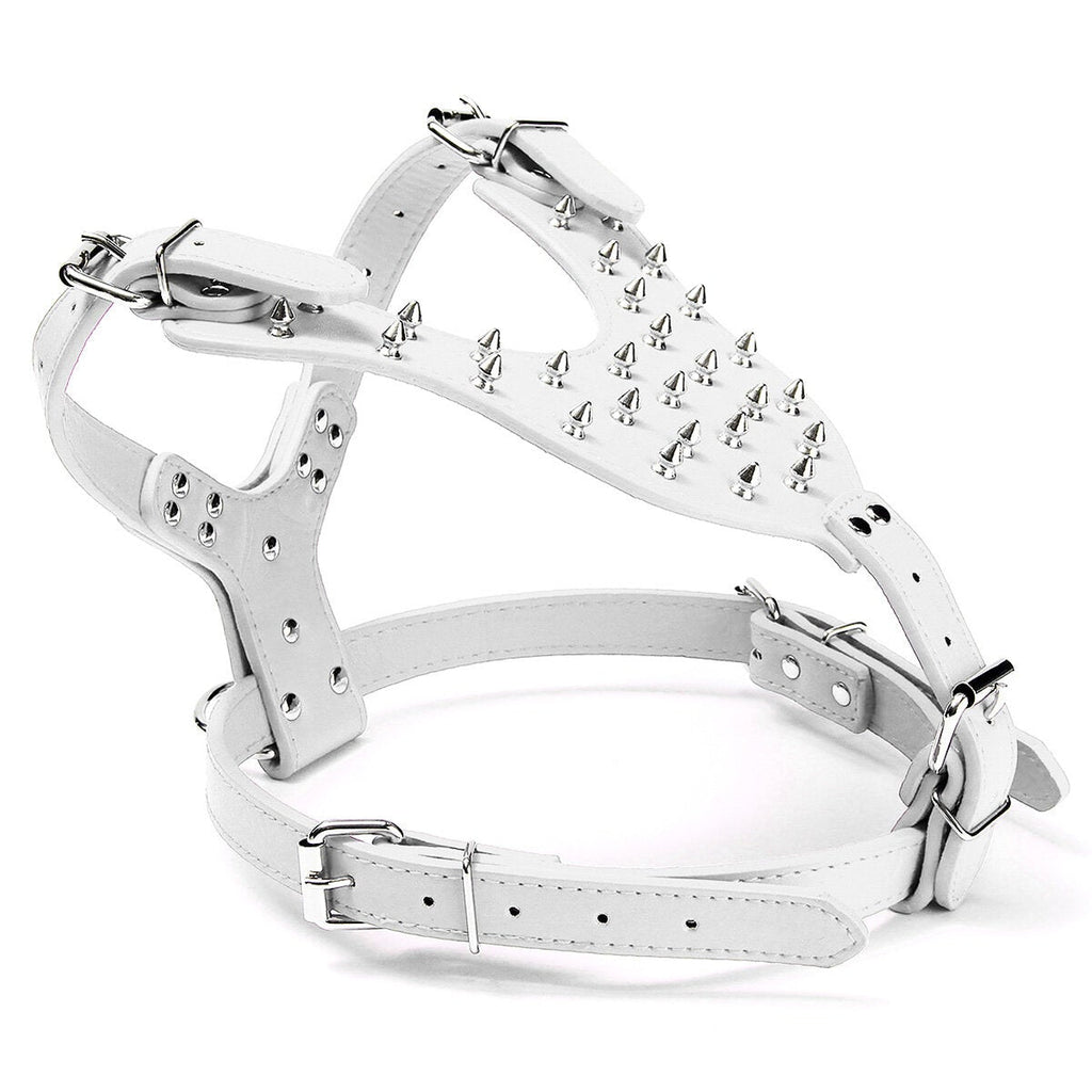 Leather Dog Harness Collar Leash Set Spiked Studded Staffy for Pet Security