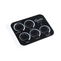 Pickup, Deliver Chorus, Delay and Reverb Sounds Direct from Acoustic Guitar