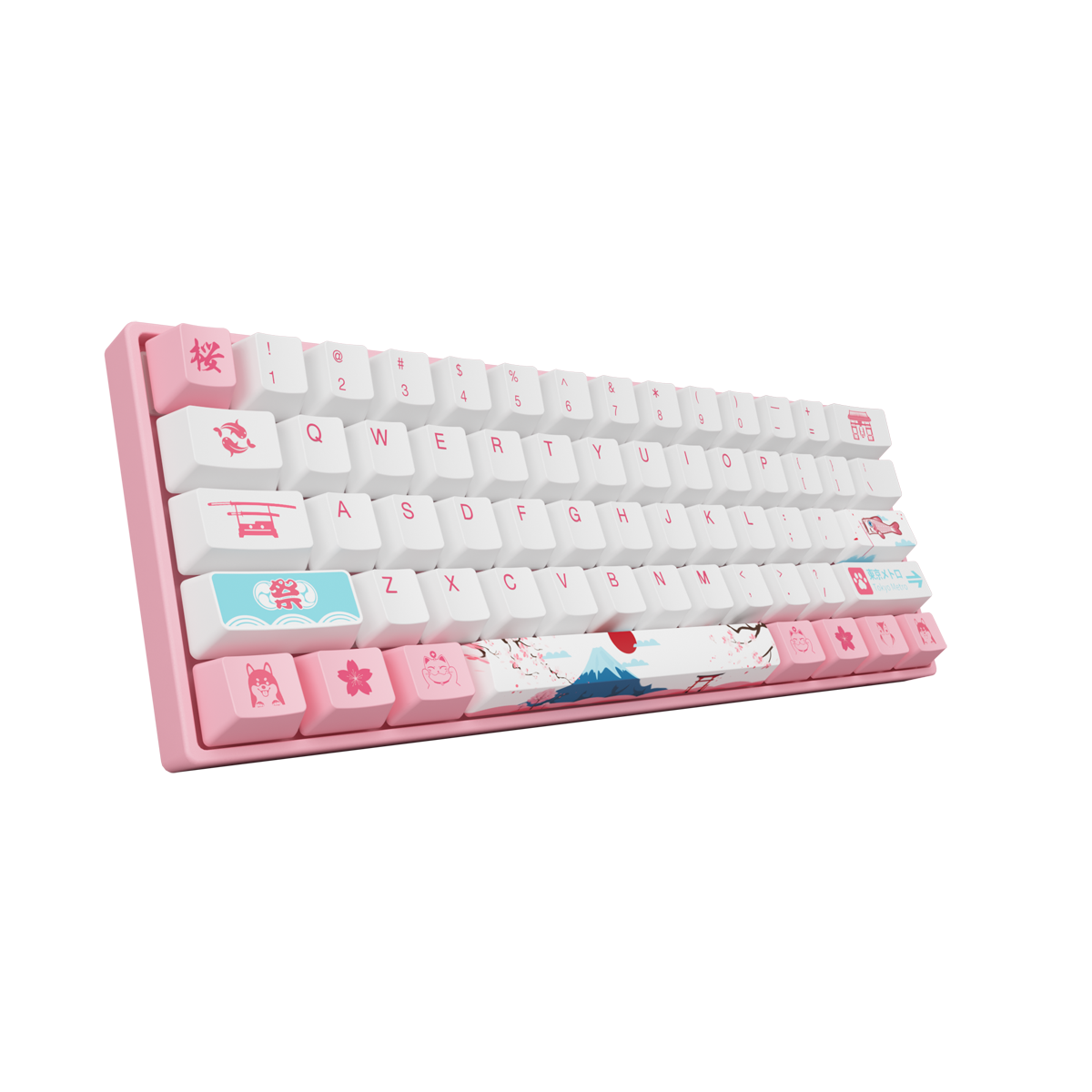 Mechanical Keyboard 61 Keys Wired Hot Swappable Gateron Prelubricate Switch RGB Cherry Profile PBT Keycaps Gaming Keyboard