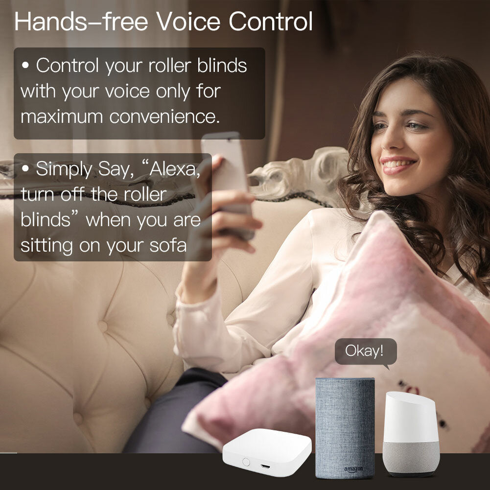 Smart Curtain Switch Module Motorized Roller Shutter Blinds Motor 2MQTT Tuya Smart APP Alexa Google Home