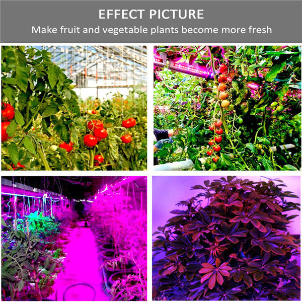 5M 3:1/4:1/5:1 Red:Blue 5050SMD 300LED Non-waterproof Hydroponic Plant Grow Strip Light DC12V