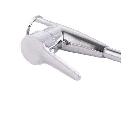 Red-crowned Crane Single Hole Hot and Cold High Curved Basin Kitchen Faucet