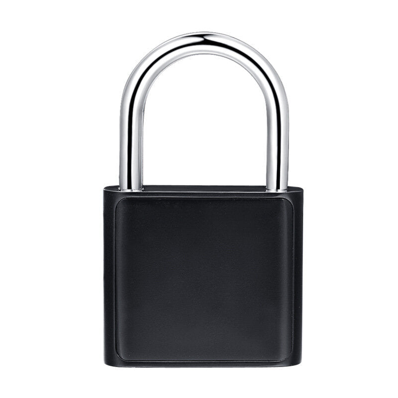 Fingerprint Smart Padlock Small Lock Head Fingerprint Cabinet Lock Anti-theft Lock