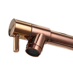 Modern Kitchen Sink Faucet Pull Out Spring Sprayer Tap Two Water Outlet Hot And Cold Mixed