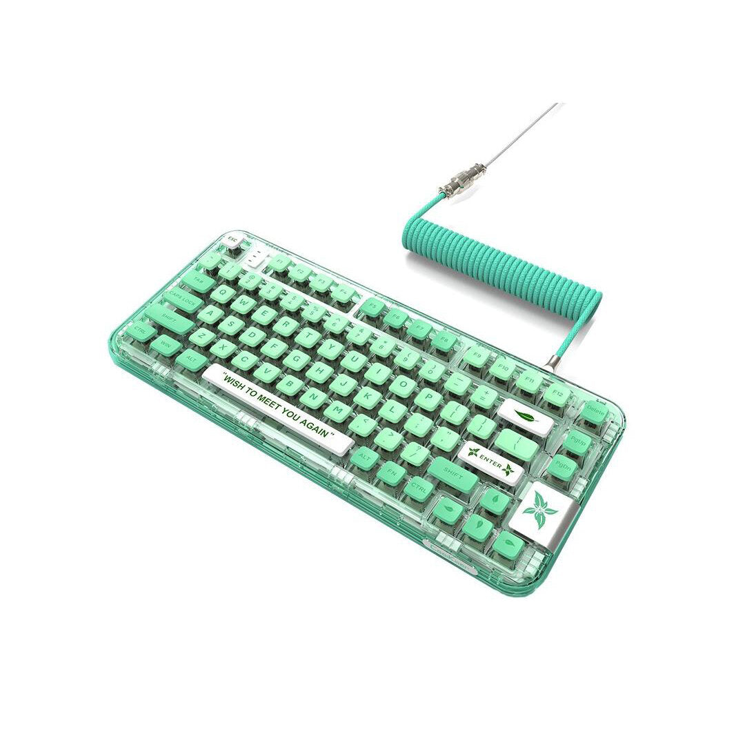 Transparent Mechanical Keyboard 80 Keys RGB Hot Swappable Triple Mode Bluetooth Wireless Gaming Keyboard with Suitcase