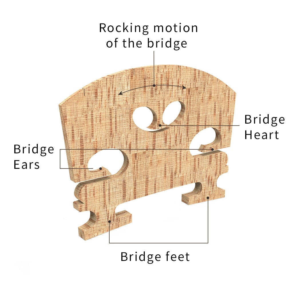 Violin Bridge Selected AA Grade Maple Bridge French Style For 4/4 Violin Use