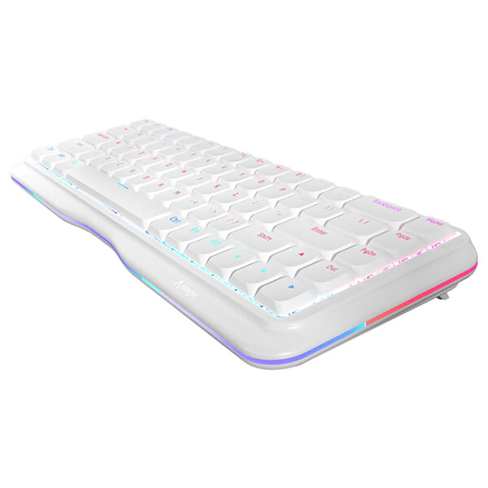 Mechanical Keyboard Gateron Pro Switch 68 Keys Triple Mode Wireless Bluetooth5.0 + 2.4Ghz + Type-C Wired Hot-swappable Low-Ball Cap for Win