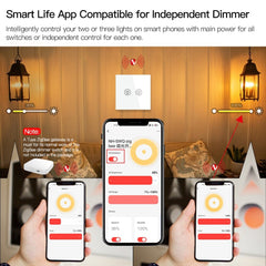 Dimming Switch Thyristor Stepless Dimming EU Smart Switch Works with Alexa Google Home 250V 1/2/3 Gang