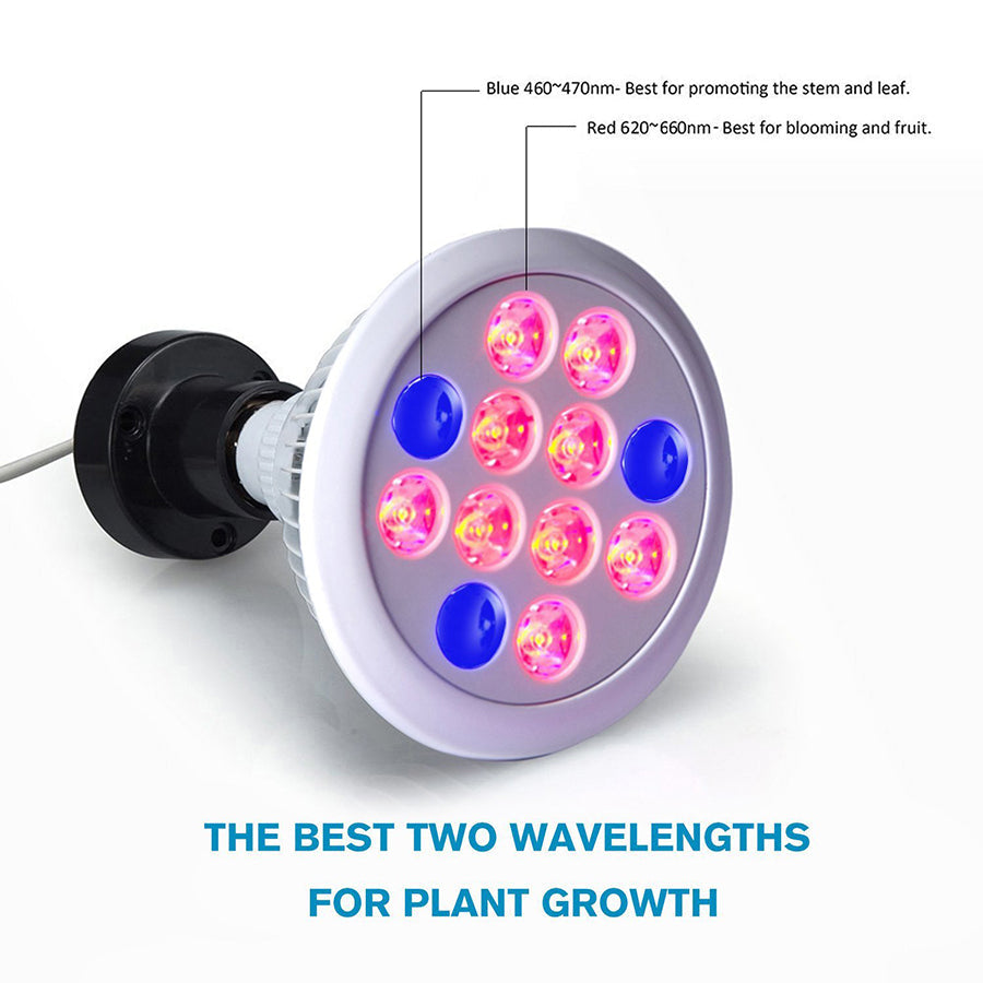 12W 24W 36W Led Grow Light Full Spectrum 12 PCS LED Growth Lamp Ultra Bulb For Plants All Stages