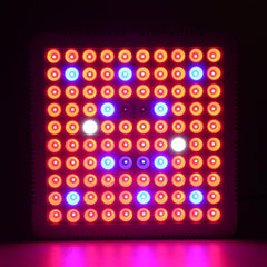 300W LED Grow Light Hydroponic Full Spectrum For Veg Flower Indoor Plant Seeds