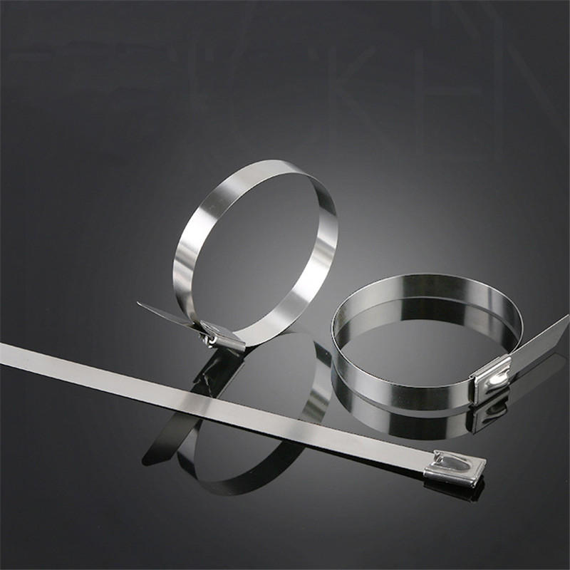 100Pcs 100-400mm Stainless Steel Zip Tie Cable Organizer Ties