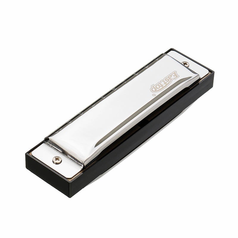 C Key 10 Holes Harmonica Blues Harp Stainless Steel Cover Plate with Plastic Box