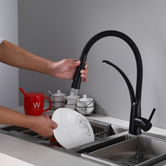 Painted Black Kitchen Sink Faucet Sprayer Brass Mixer Tap Two Water Modes 360 Rotation Single Handle