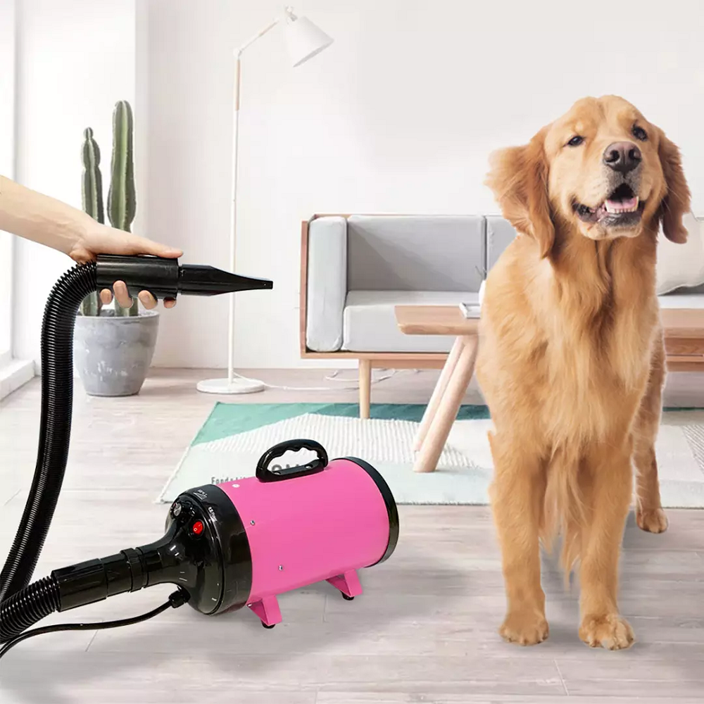 Pet Blowing Machine 2200W Low Noise Wam Wind Household Cat & Dog Fast Hair Dryer