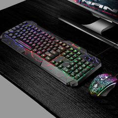 104 Keys Gaming Keyboard RGB Backlight Wired Mechanical Feeling Keyboard and 1600 DPI RGB Gaming Mouse