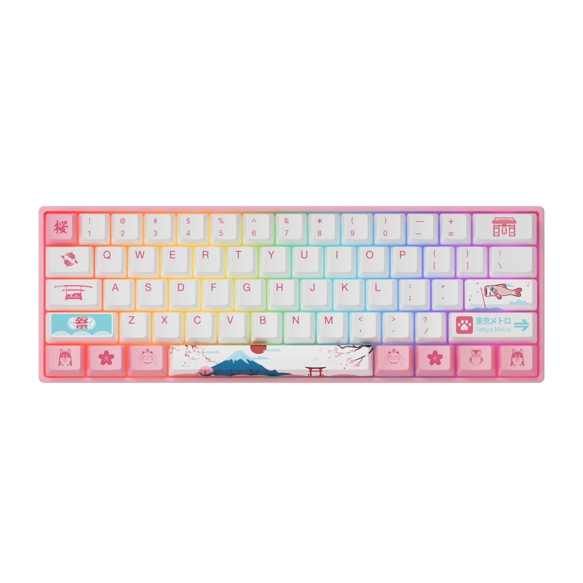Mechanical Keyboard 61 Keys Wired Hot Swappable Gateron Prelubricate Switch RGB Cherry Profile PBT Keycaps Gaming Keyboard