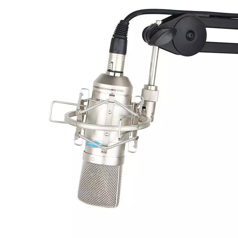 Professional Large Diaphragm FET Studio Condenser Recording Microphone for Live Broadcast with Shock Mount Carry Case