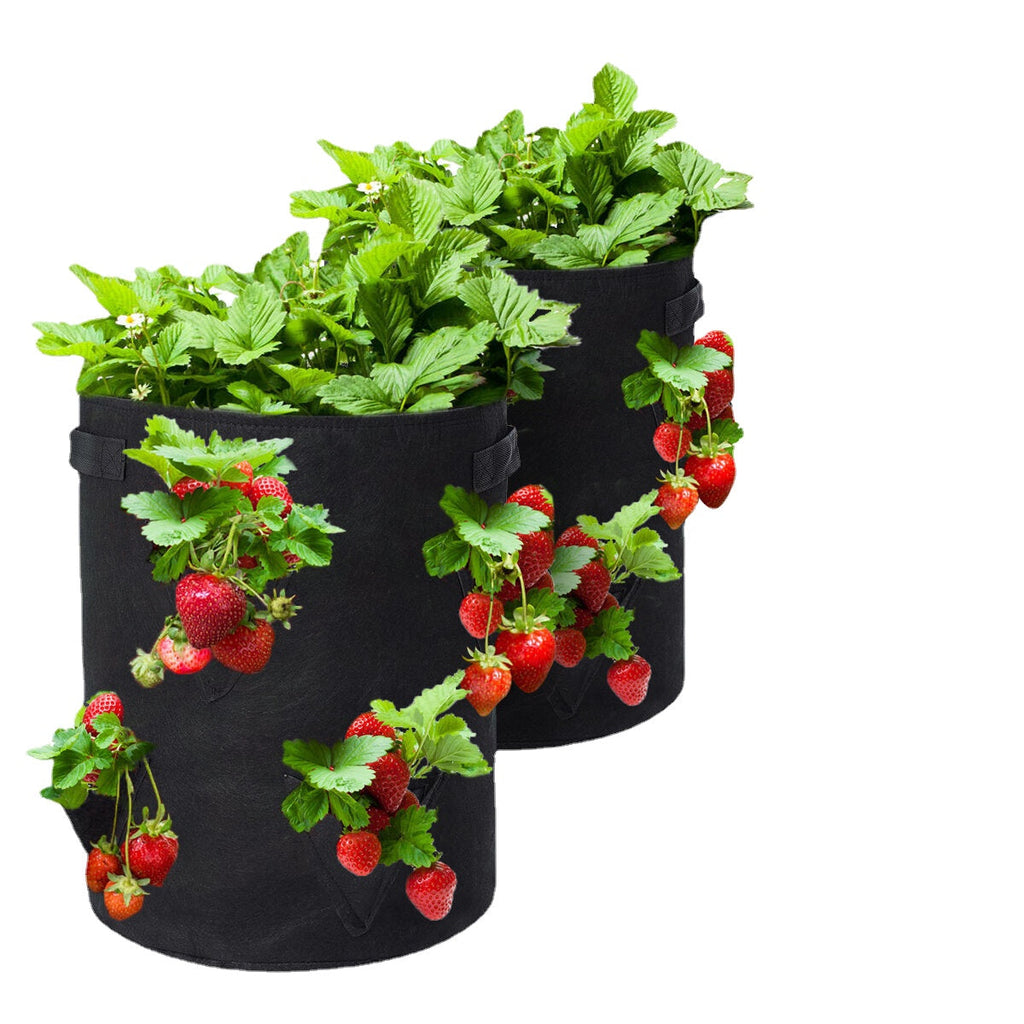 Strawberry Planting Bags 2 Pack 10 Gallon Planting Pouch Fabric Pots Premium Breathable Cloth Bags