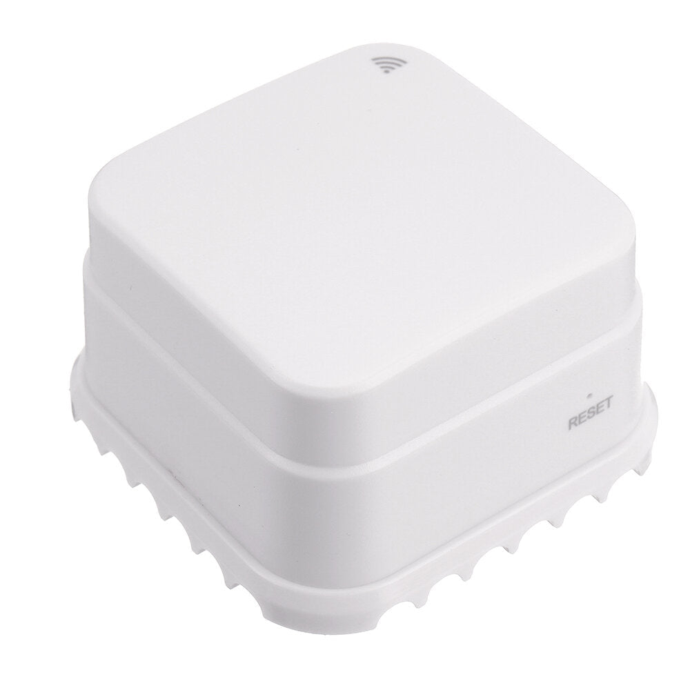 Smart WiFi Water Leak Detector Battery Version Water Leakage Detector