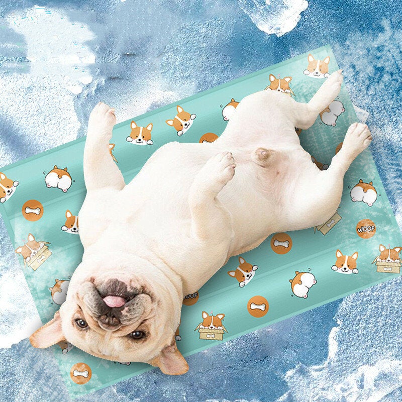 PVC Pet Ice Pad Collapsible Repeated Use