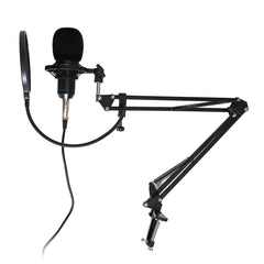 Condenser Microphone Live Broadcast Mic Computer Karaoke Large Diaphragm with Bracket for Youtube