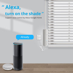 Wifi Roller Shade Driver 110V/240V Switch Control Automatic Electric APP Voice Control Roller Blinds Shutter Motor