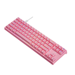 Mechanical Gaming Keyboard 71 Keys Blue/Red Switch Hot Swappable RGB Backlit Detachable Type-C Wired Keyboard