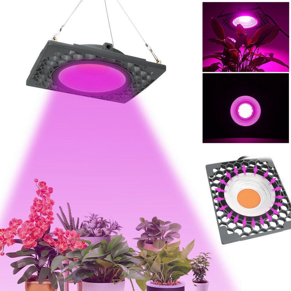 50W Full Spectrum LED Grow Light Veg Seed Greenhouse Super Cooling Plant Lamp AC110V/220V