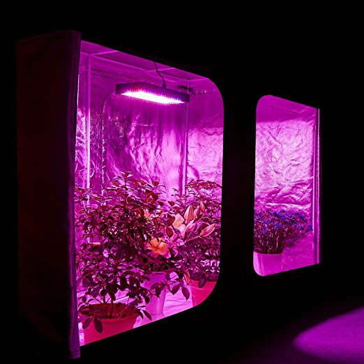 1200W Double Chips LED Grow Light Full Spectrum Grow Lamp for Greenhouse Hydroponic Indoor Plants