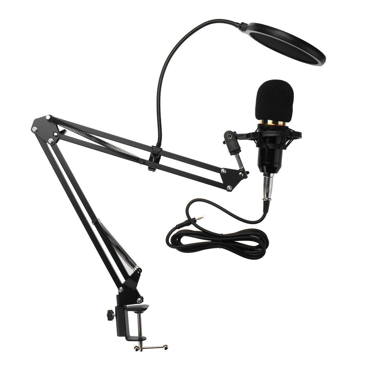 Microphone with Flexible Arm Mic Suspension Boom Scissor Stand Holder