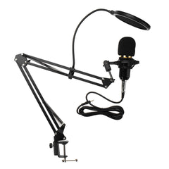 Microphone with Flexible Arm Mic Suspension Boom Scissor Stand Holder