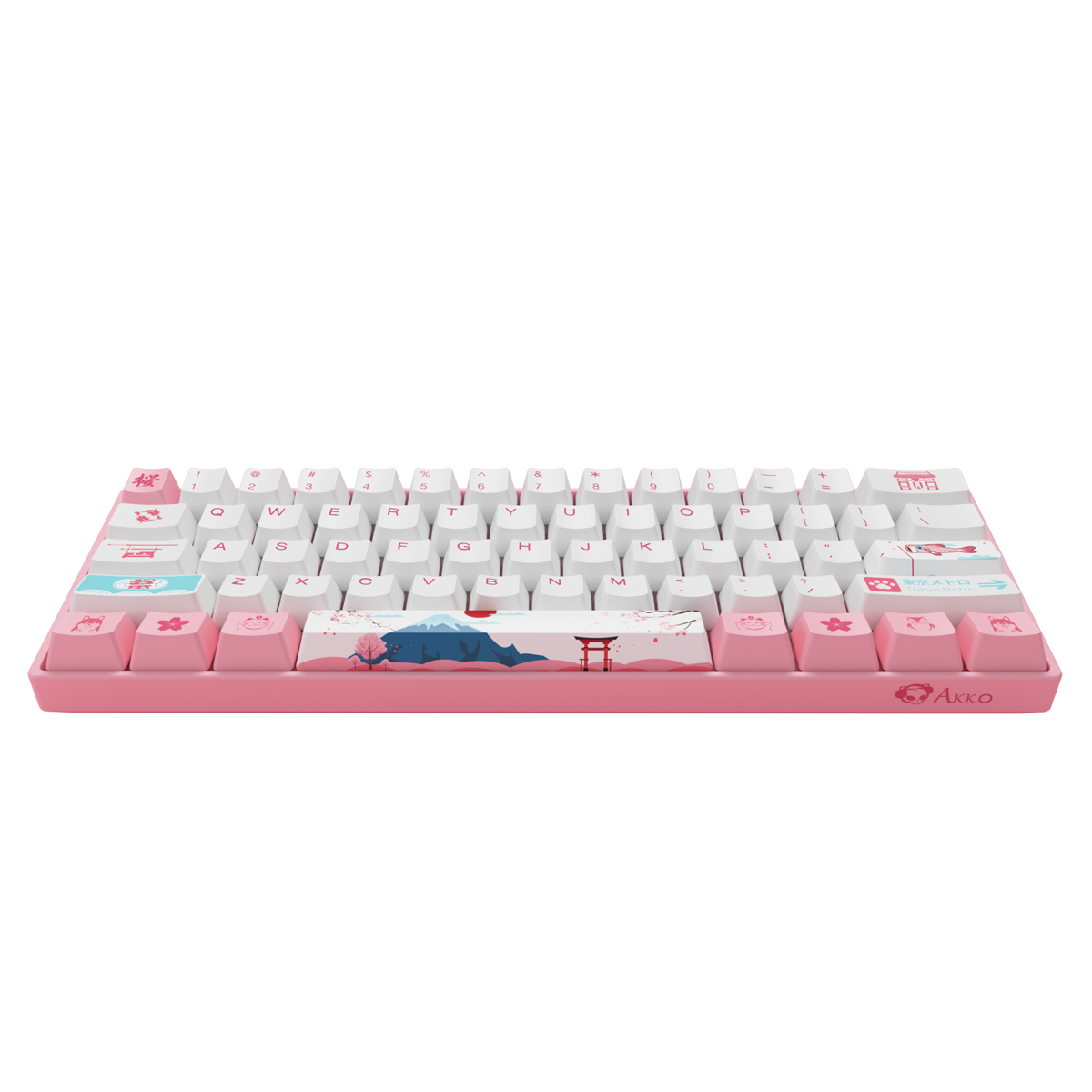 Mechanical Keyboard 61 Keys Wired Hot Swappable Gateron Prelubricate Switch RGB Cherry Profile PBT Keycaps Gaming Keyboard