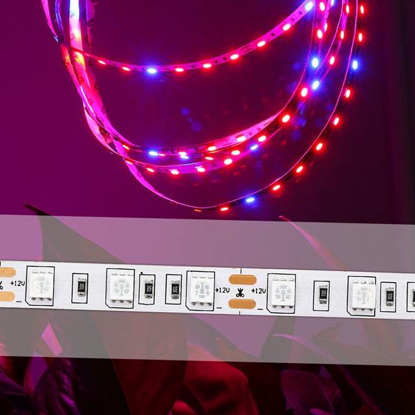 DC12V 5PCS 50CM SMD5050 LED Strip Grow Light Hydroponic Indoor Veg Plant Lamp Kit + Power Adpater
