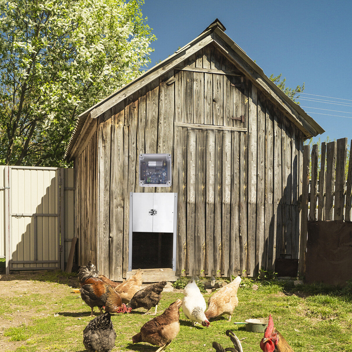 Automatic Chicken Door Opener Kits W/Time Sensor Induction 12'' Wide