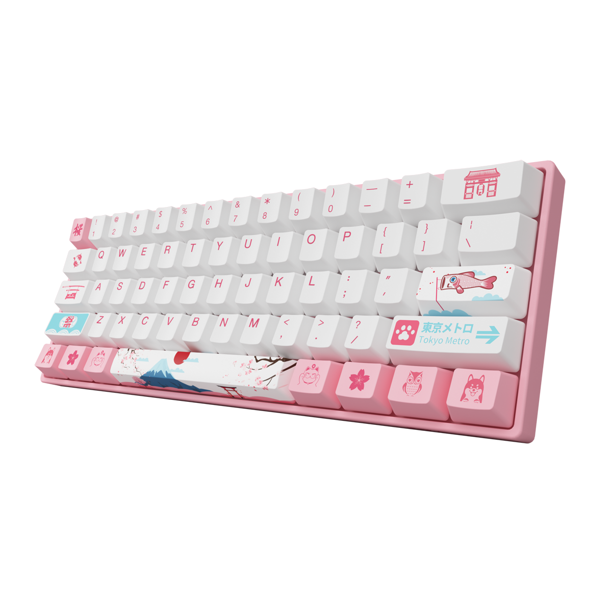 Mechanical Keyboard 61 Keys Wired Hot Swappable Gateron Prelubricate Switch RGB Cherry Profile PBT Keycaps Gaming Keyboard