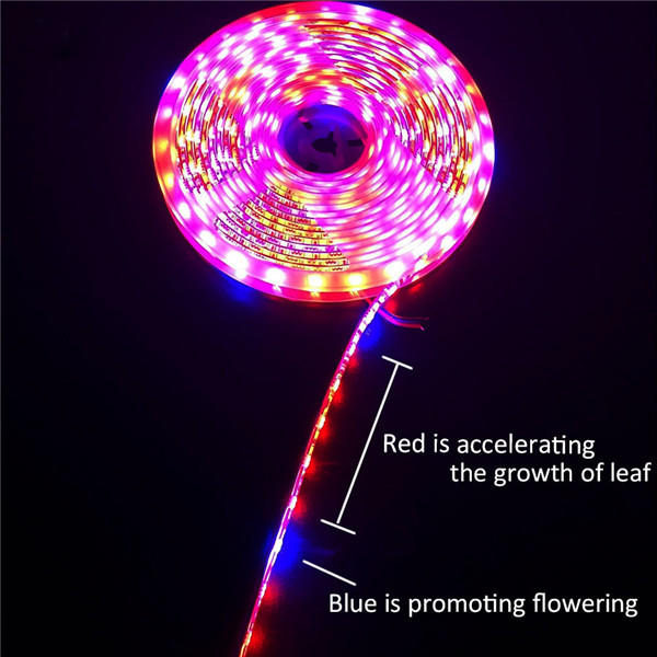 5M 3:1/4:1/5:1 Red:Blue 5050SMD 300LED Non-waterproof Hydroponic Plant Grow Strip Light DC12V